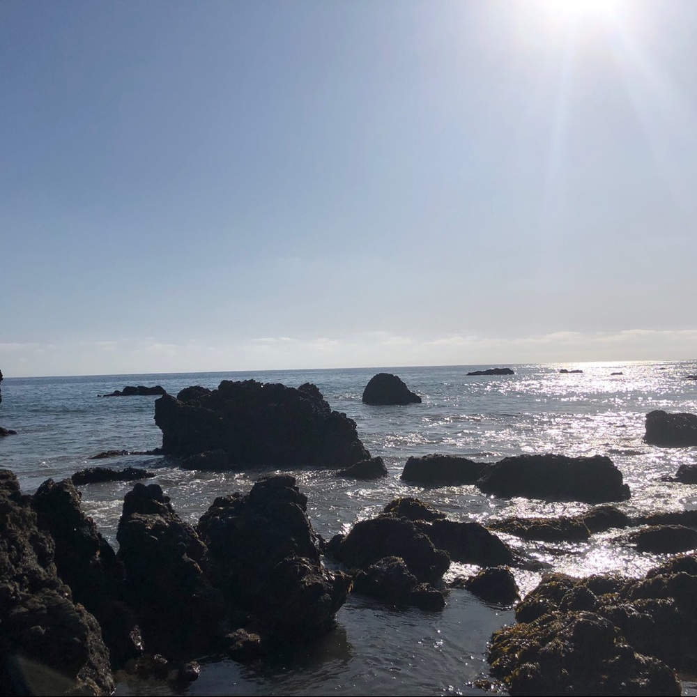 Meet your Posher, Dani